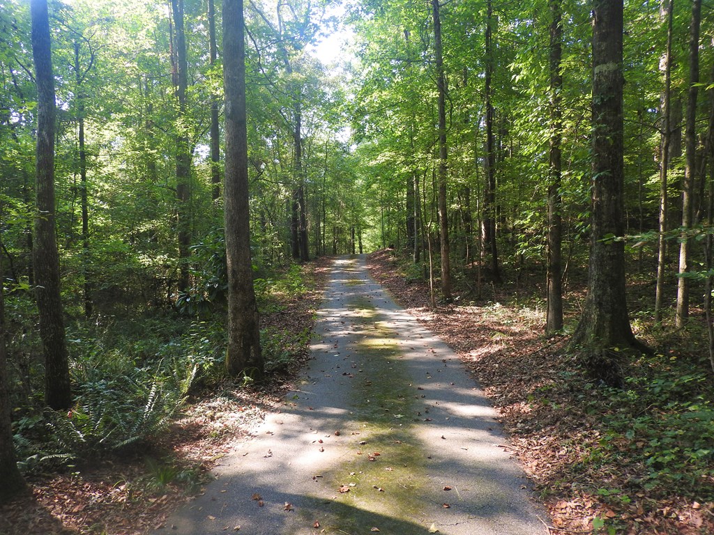 214 Mountain Shadows Road Hamilton, GA 31811 - Photo 3 of 47 Gallery Image 3