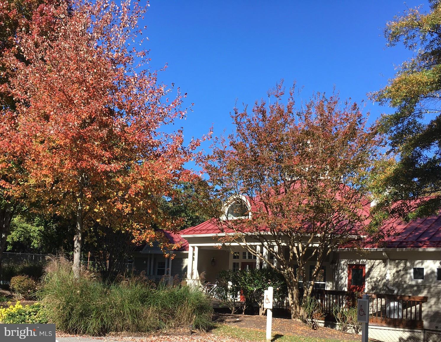 722 Runabout Loop, Unit 722 Solomons, MD 20688 - Photo 21 of 30 a front view of a building with trees