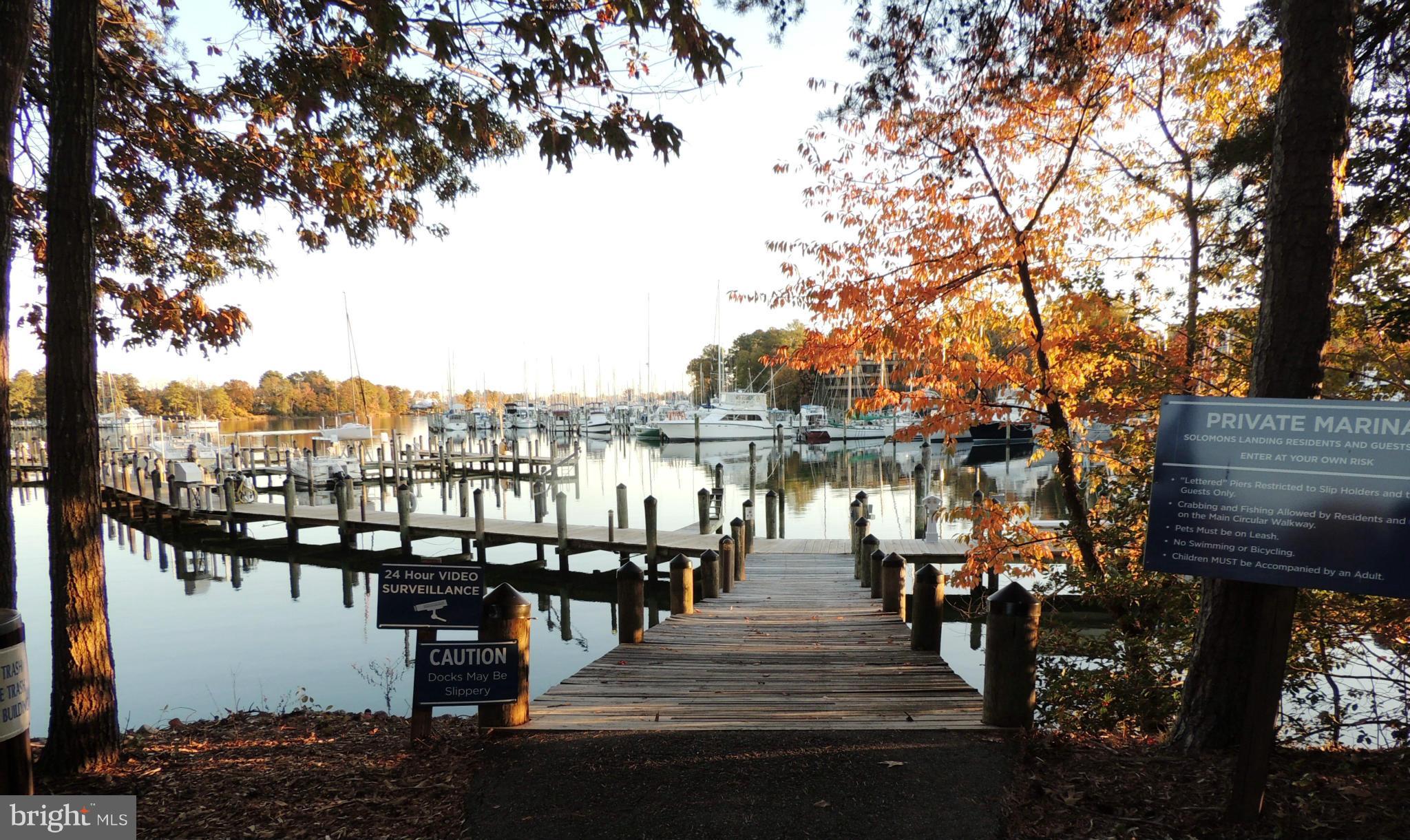 722 Runabout Loop, Unit 722 Solomons, MD 20688 - Photo 22 of 30 a view of a lake with boats and trees