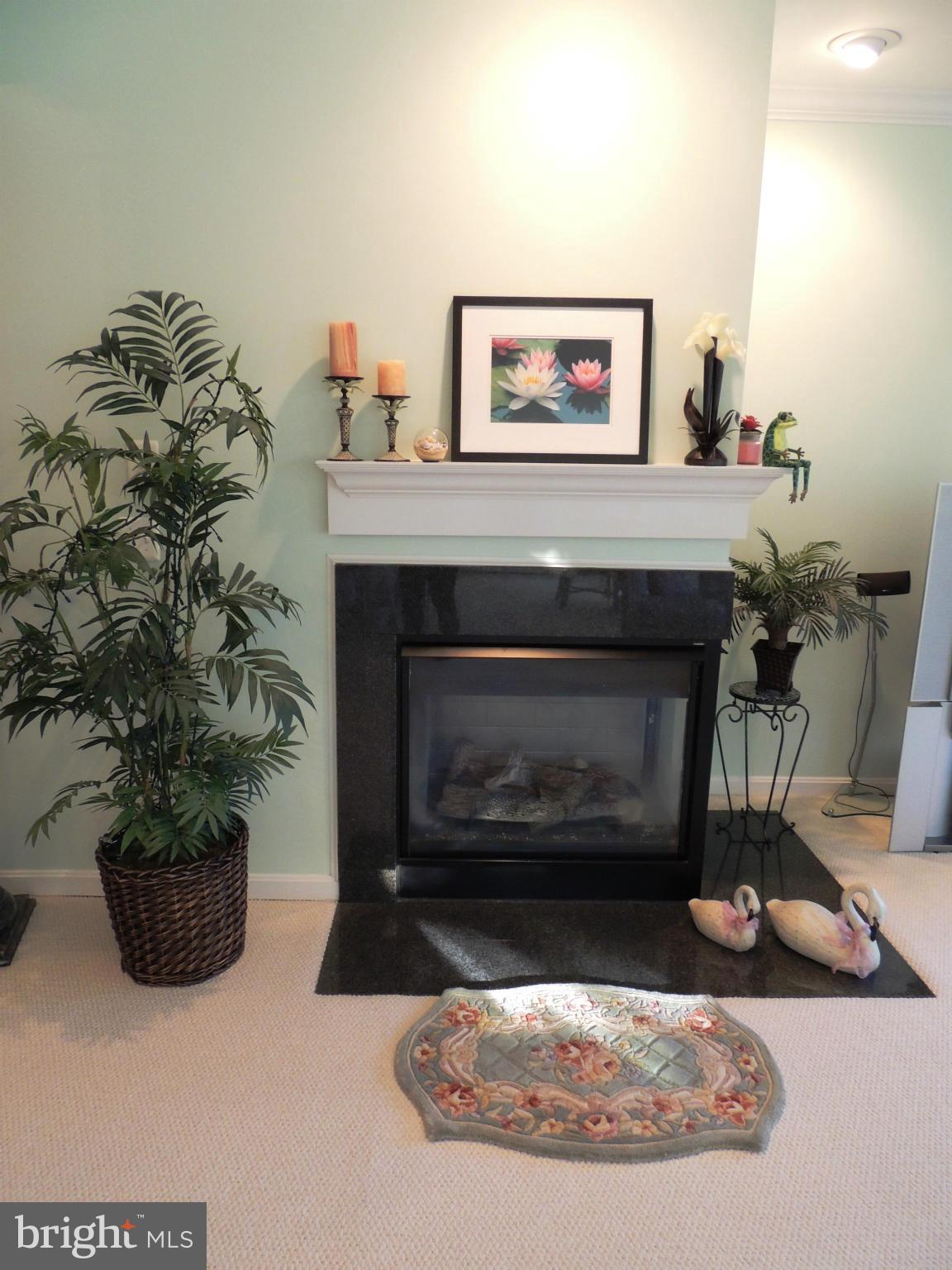 722 Runabout Loop, Unit 722 Solomons, MD 20688 - Photo 9 of 30 a living room with furniture and a fireplace