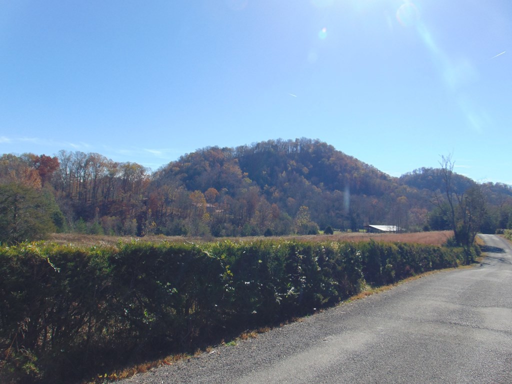 463 Co Road Englewood, TN 37329 - Photo 26 of 28