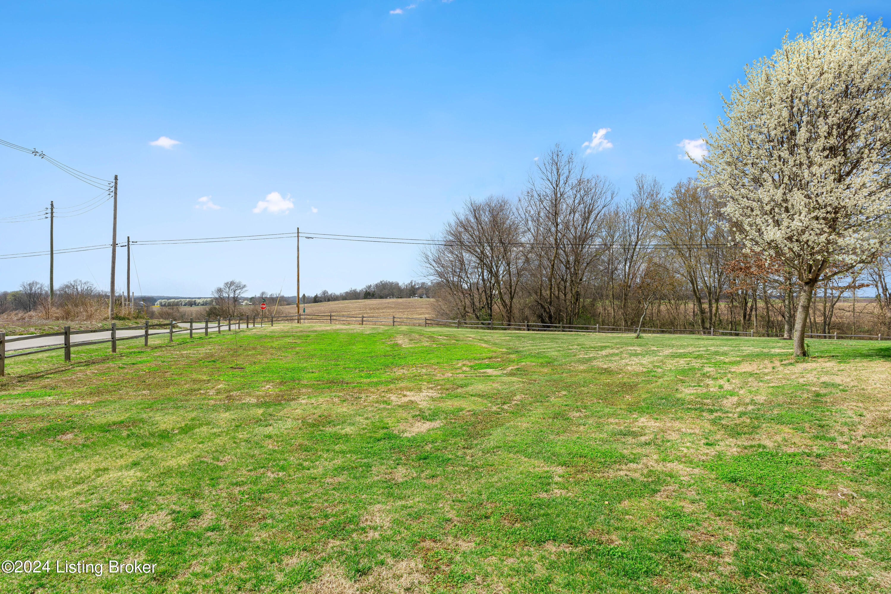 1950 Tanner Road Hodgenville, KY 42748 - Photo 16 of 59 1950 Tannder Rd (16 of 59)