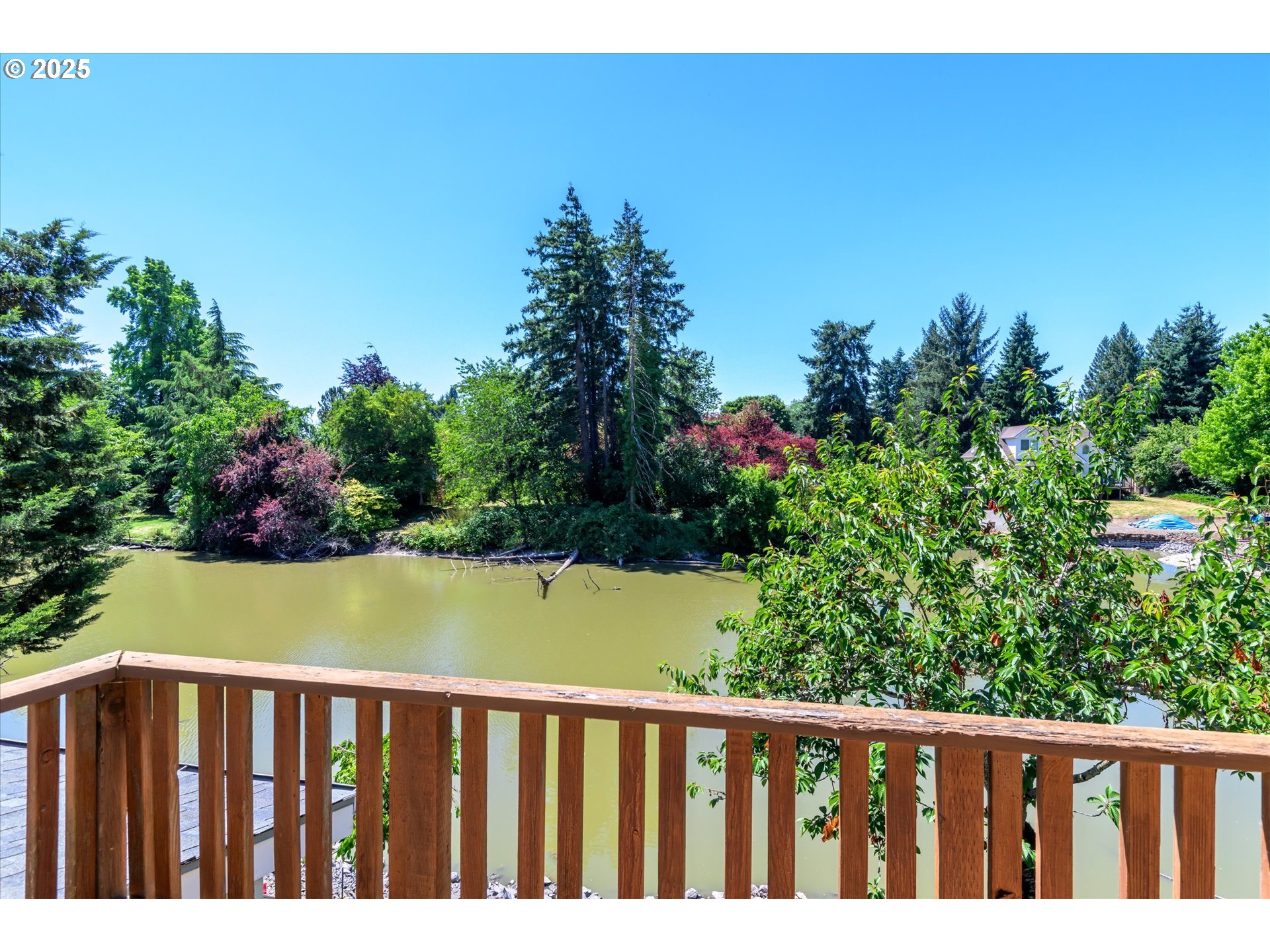 820 Park Terrace Eugene, OR 97404 - Photo 26 of 44 a view of a garden