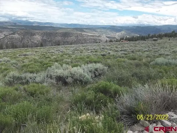 $17,500 | 1092 Cinammon Trail, Powderhorn, CO 81243