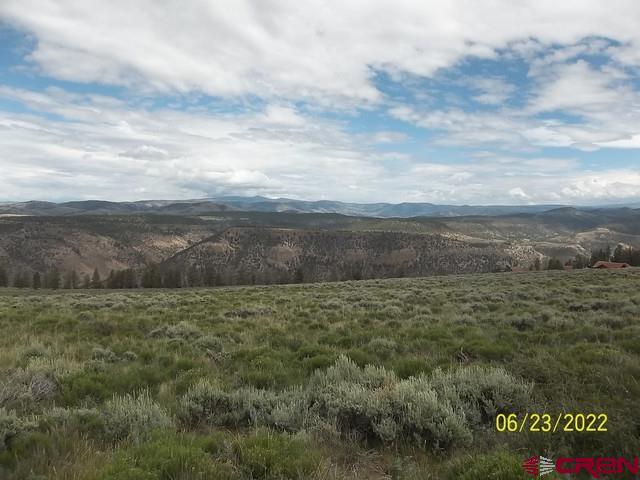 1092 Cinammon Trail Powderhorn, CO 81243 - Photo 2 of 7 a view of a big yard