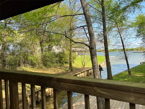 a view of a yard from a window