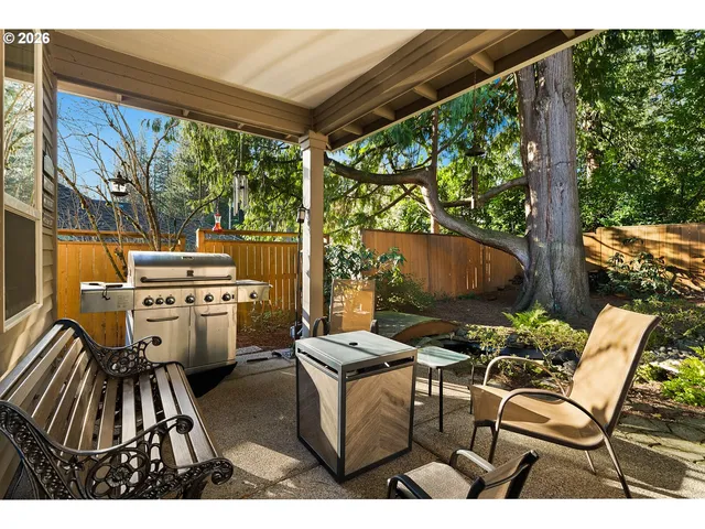 a view of a backyard with plants