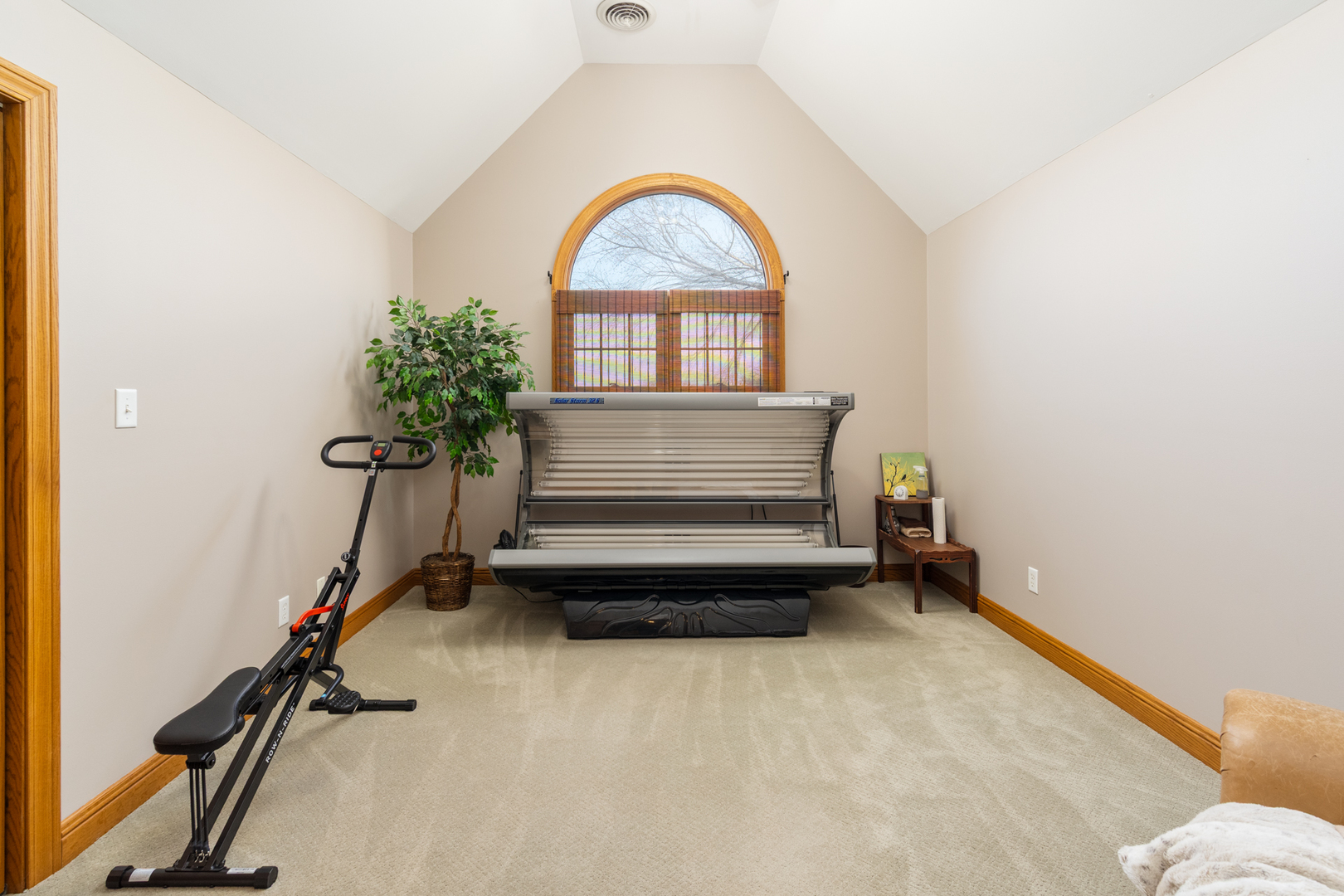 100 Willow Trail Spring Valley, IL 61362 - Photo 29 of 38