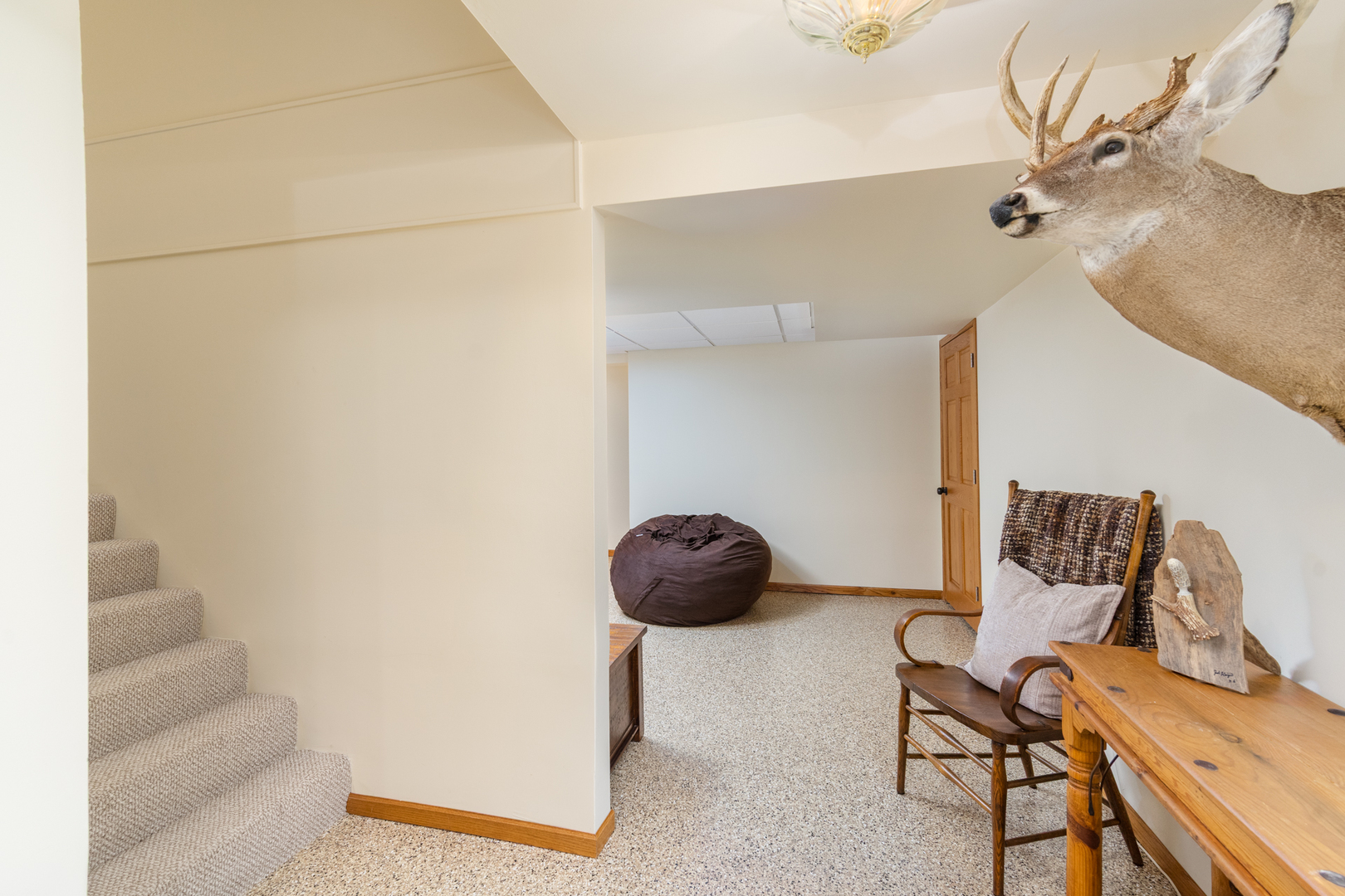 100 Willow Trail Spring Valley, IL 61362 - Photo 31 of 38