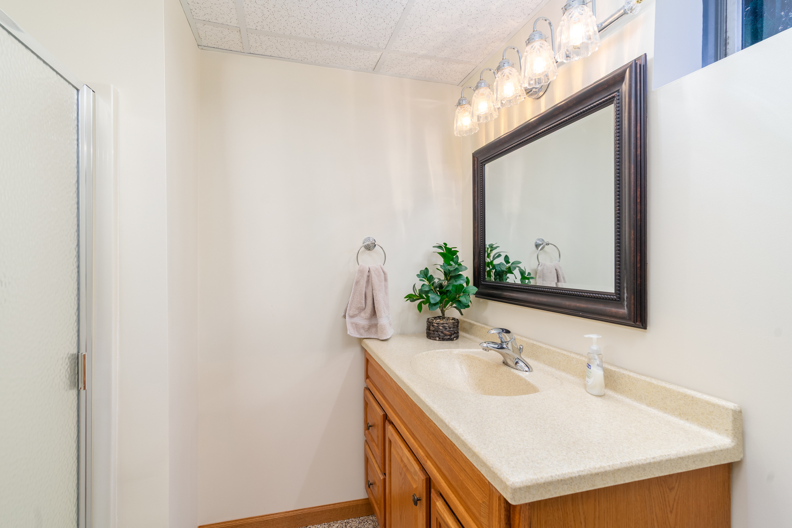 100 Willow Trail Spring Valley, IL 61362 - Photo 35 of 38