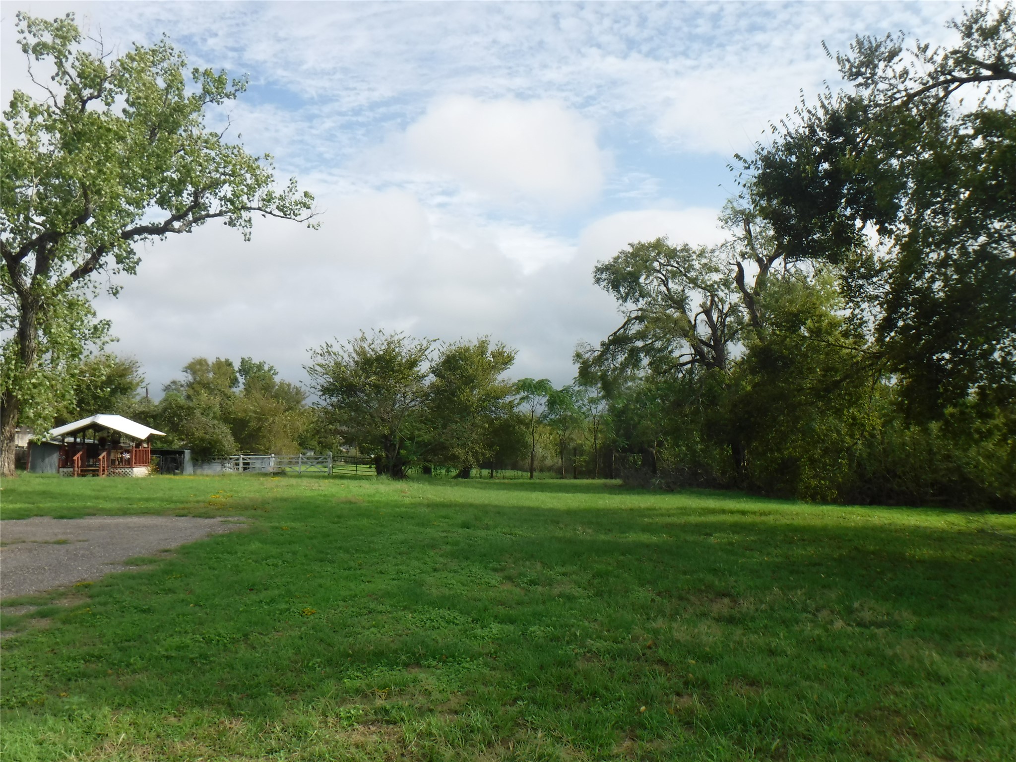 524 Old McDade Road Elgin, TX 78621 - Photo 5 of 9 Expansive green lawn with mature trees and a gravel driveway