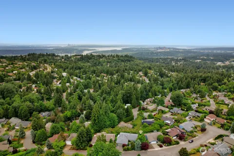 a view of a city with lush green forest