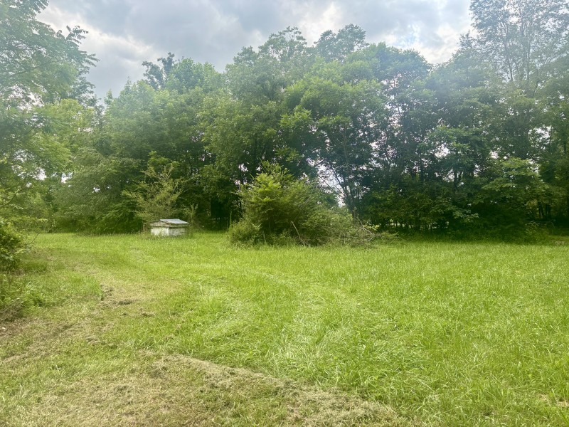 294 Haskell Winton Road Manchester, TN 37355 - Photo 12 of 14