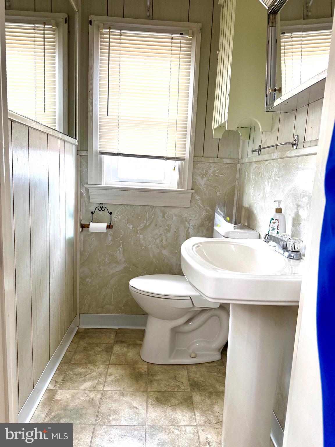 202 4th Street Sharptown, MD 21861 - Photo 59 of 73 a bathroom with a sink a toilet and shower