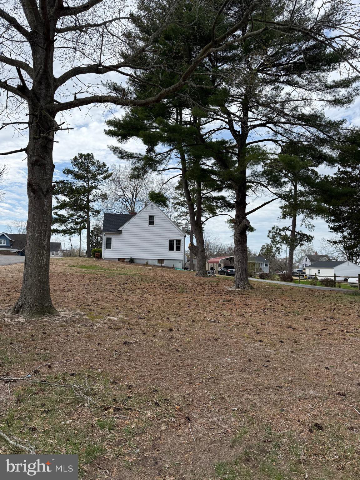 202 4th Street Sharptown, MD 21861 - Photo 65 of 73 a view of a tree in the middle of a yard