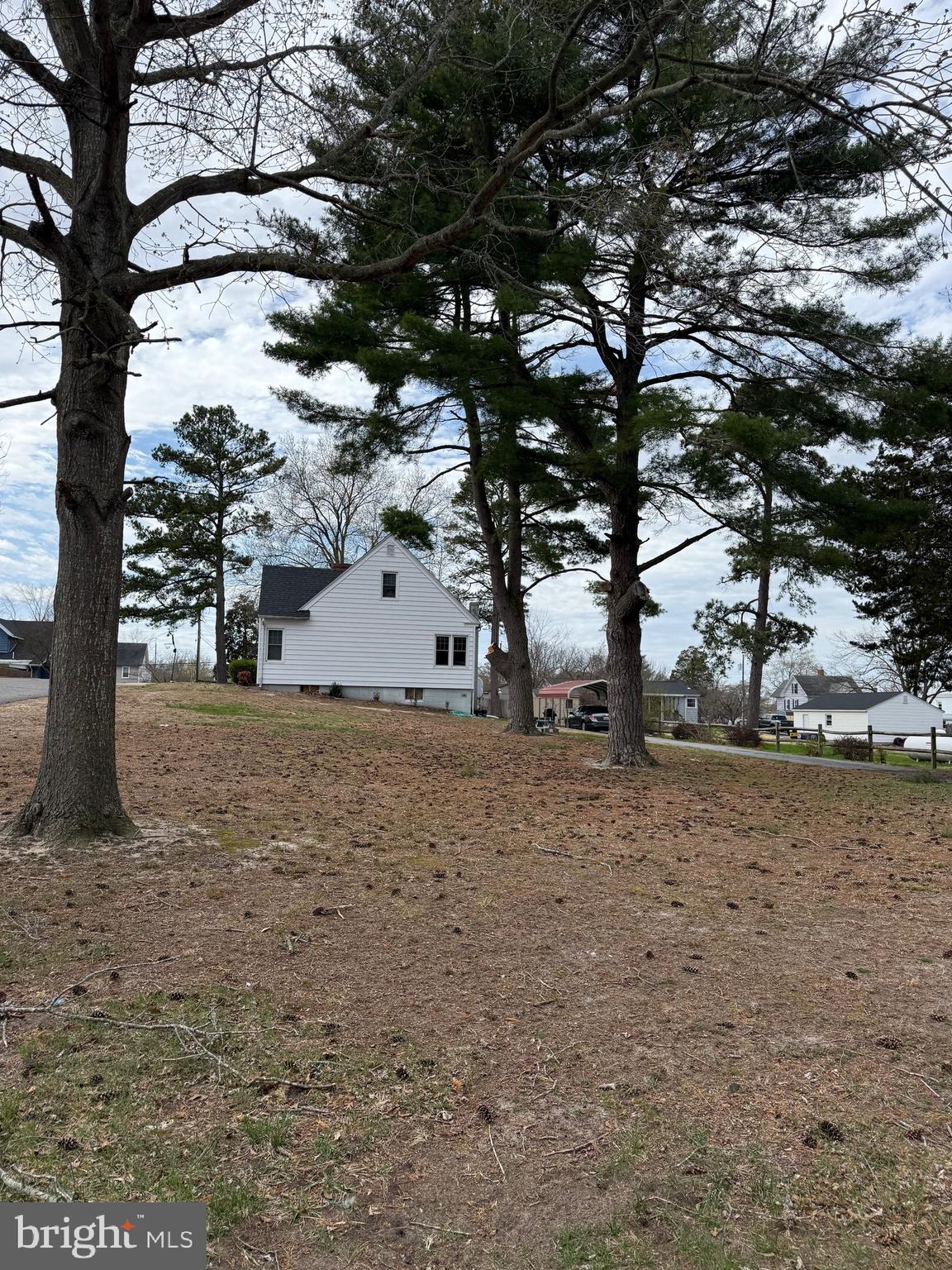202 4th Street Sharptown, MD 21861 - Photo 66 of 73 a view of dirt yard with a tree