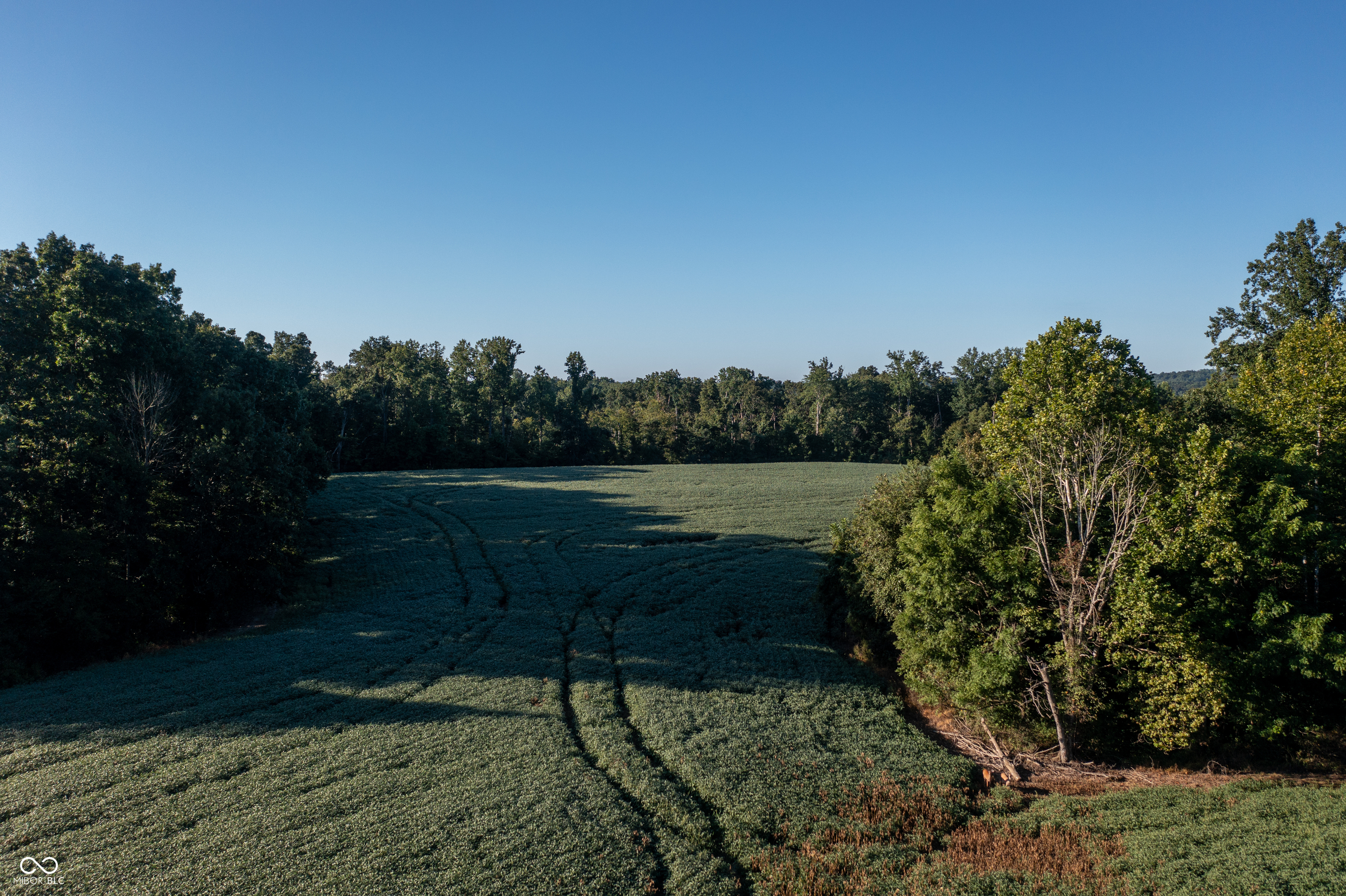 1196 Hoot Road Spencer, IN 47460 - Photo 4 of 10