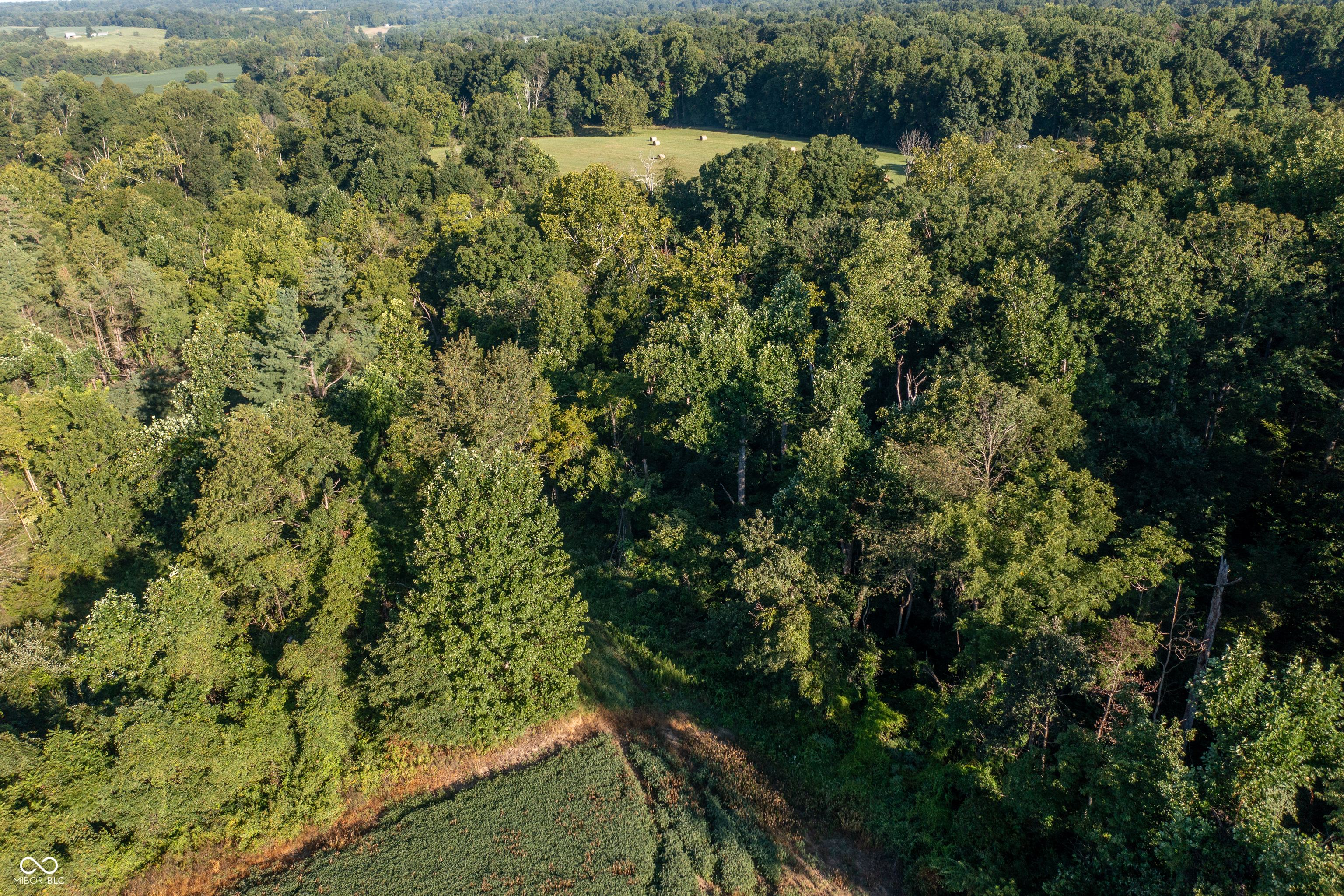 1196 Hoot Road Spencer, IN 47460 - Photo 6 of 10