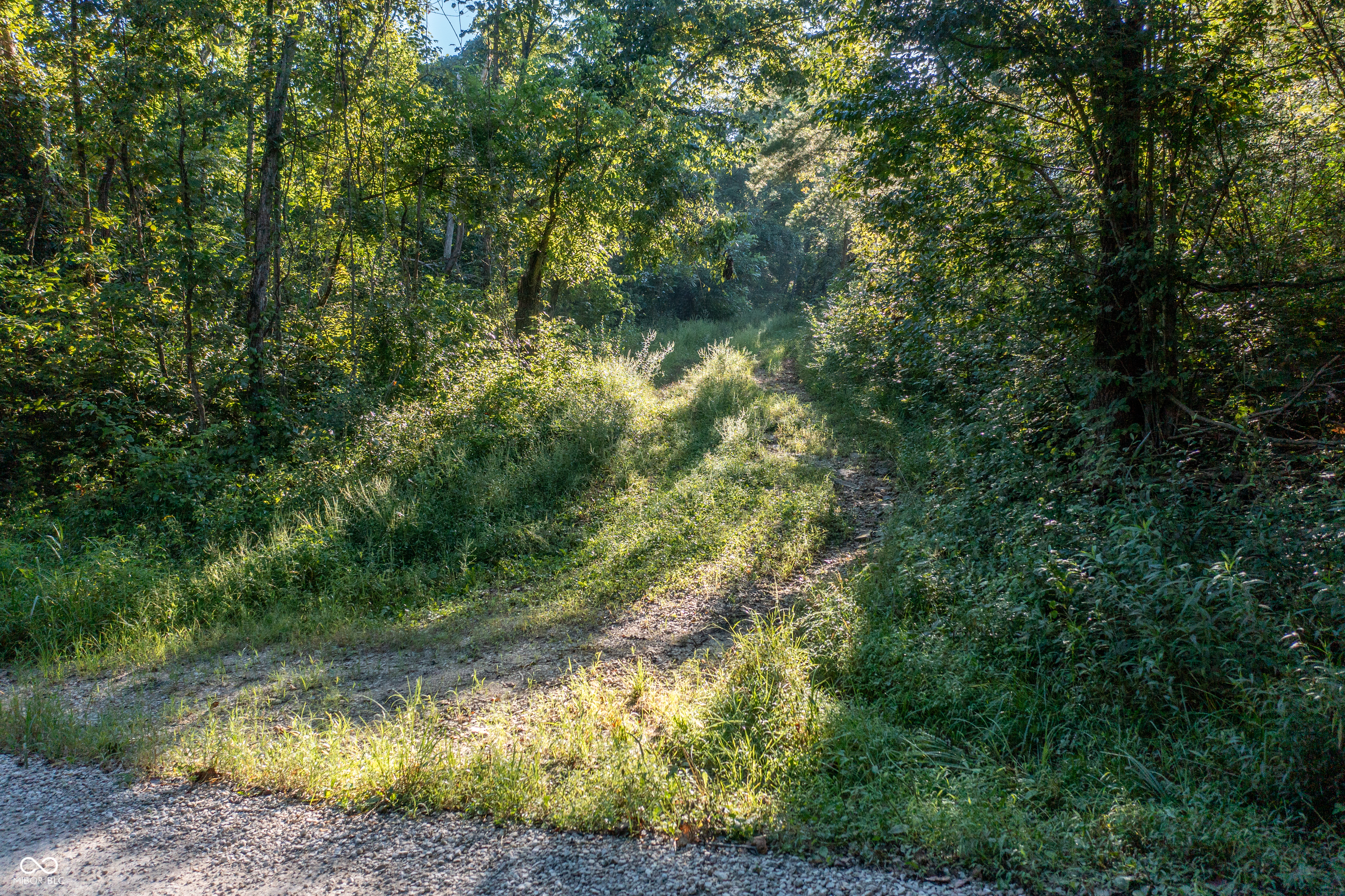 1196 Hoot Road Spencer, IN 47460 - Photo 7 of 10