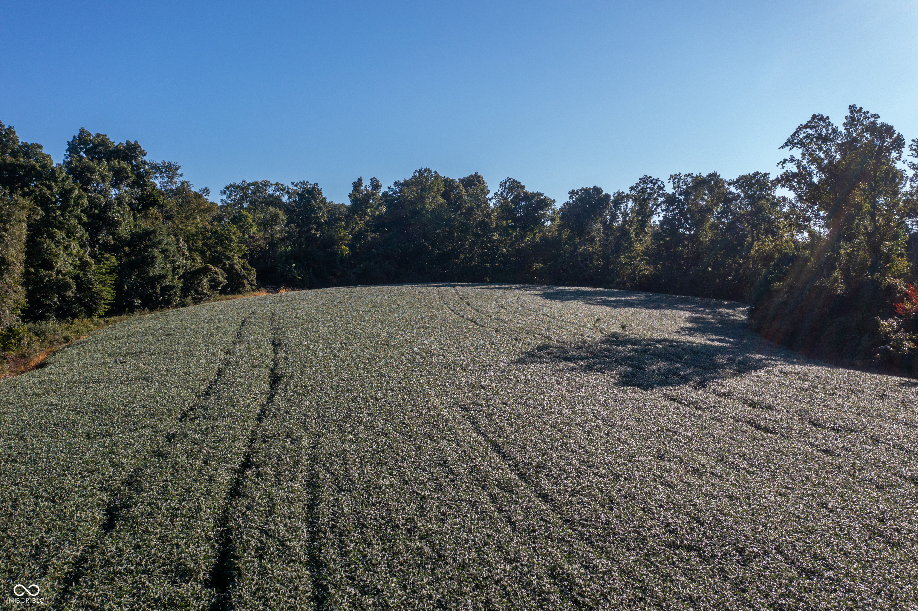 1196 Hoot Road Spencer, IN 47460 - Photo 9 of 10