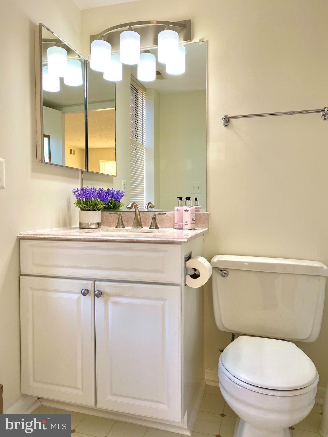 15311 Beaverbrook Court, Unit 902A Silver Spring, MD 20906 - Photo 20 of 38 Primary bathroom has new light fixture