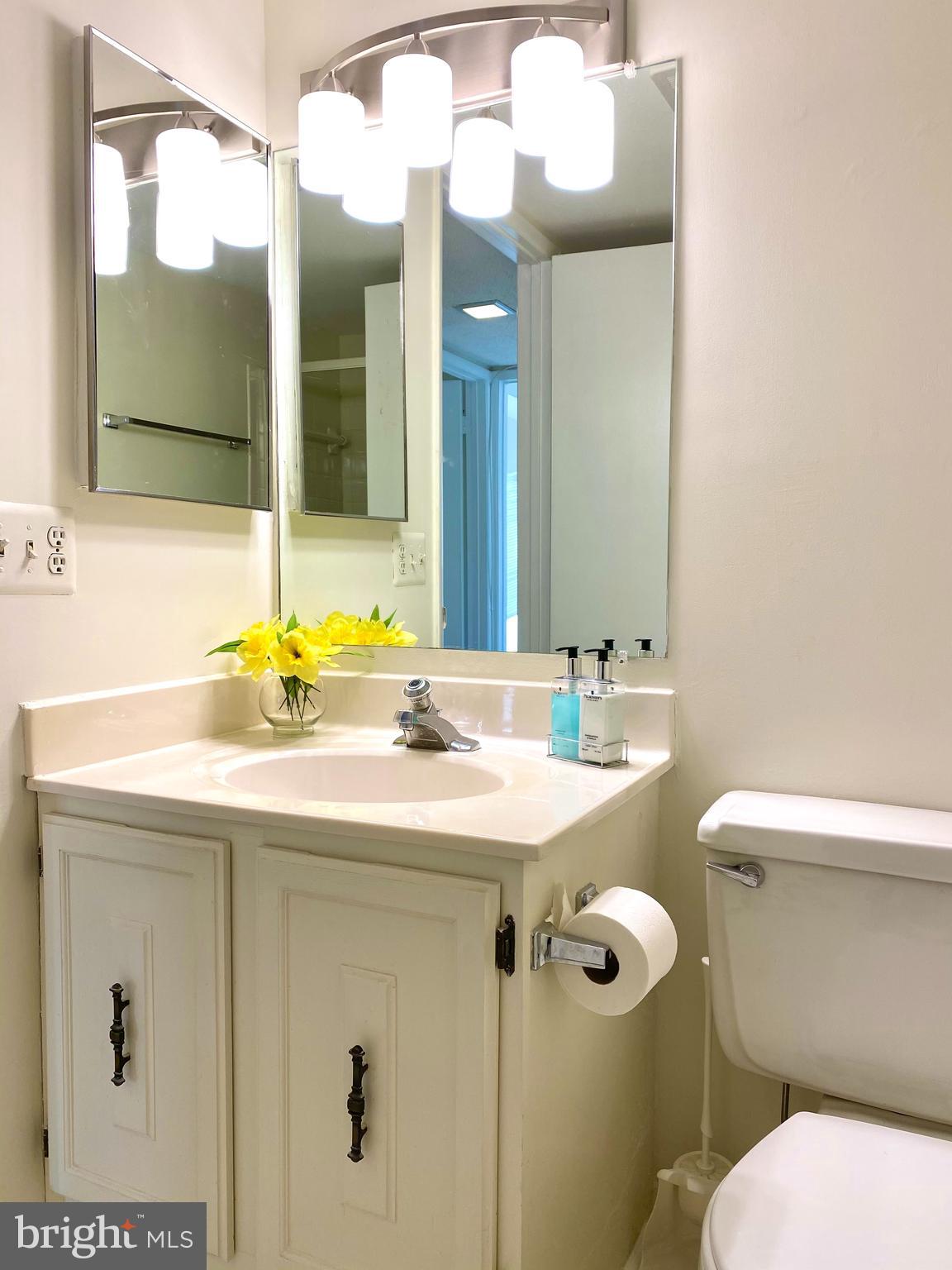 15311 Beaverbrook Court, Unit 902A Silver Spring, MD 20906 - Photo 25 of 38 Second bathroom with tub and shower