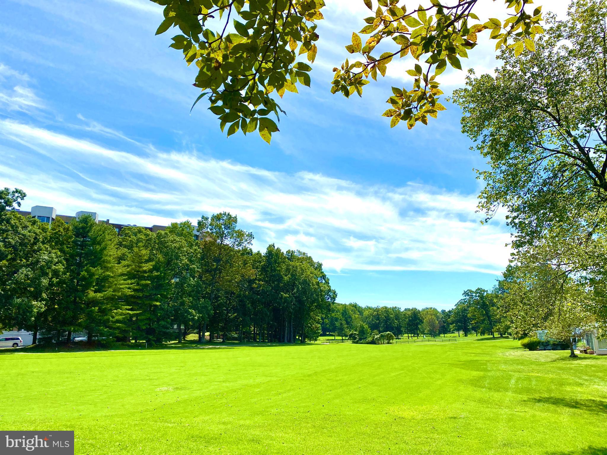 15311 Beaverbrook Court, Unit 902A Silver Spring, MD 20906 - Photo 33 of 38 Golf course