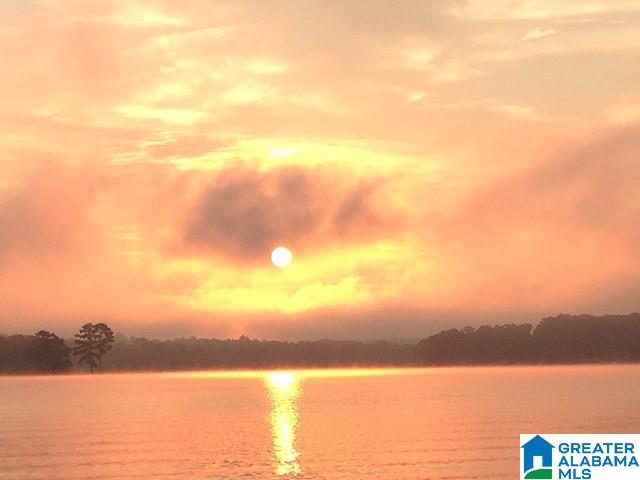 4659 Griffitt Bend Road Talladega, AL 35160 - Photo 19 of 22