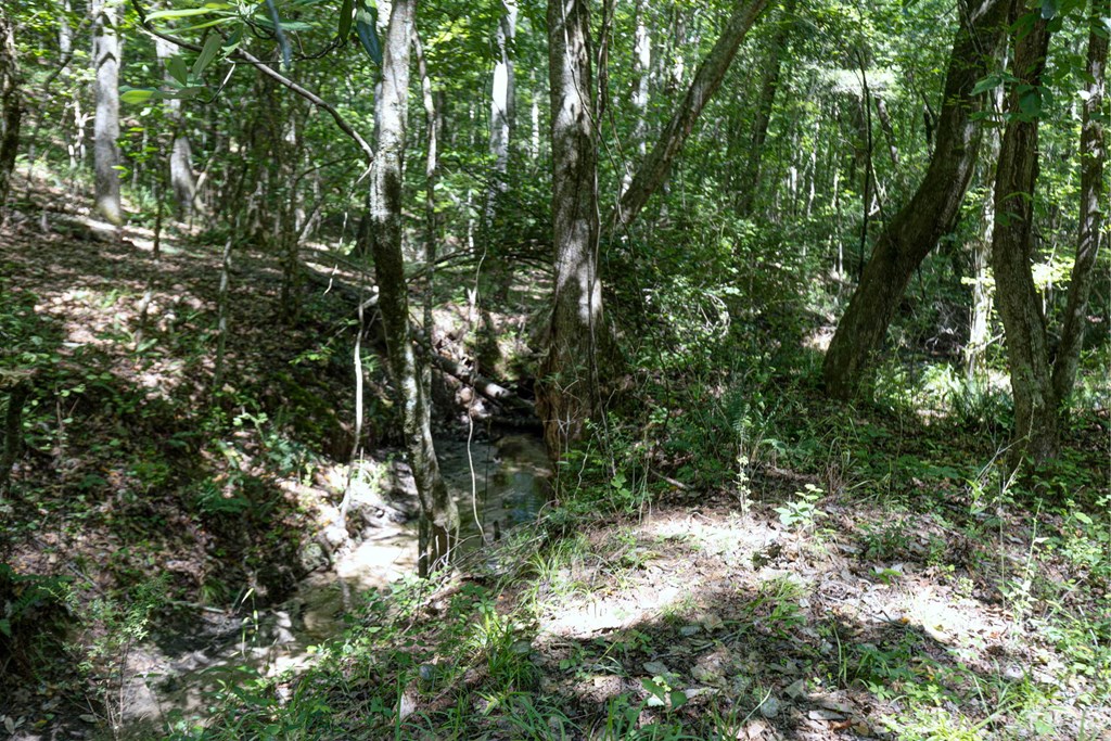 231 Lower Lovelace Road West Point, GA 31833 - Photo 30 of 49