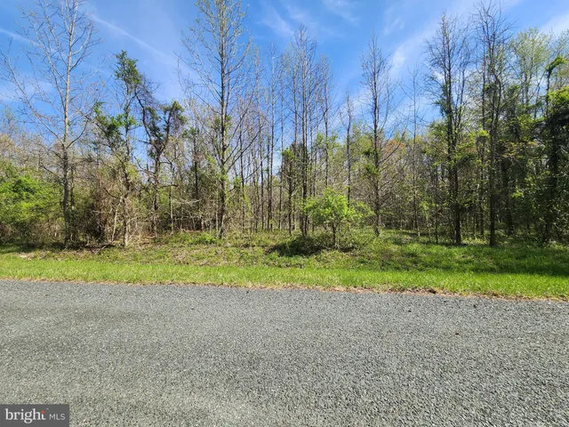 a view of a field with trees around