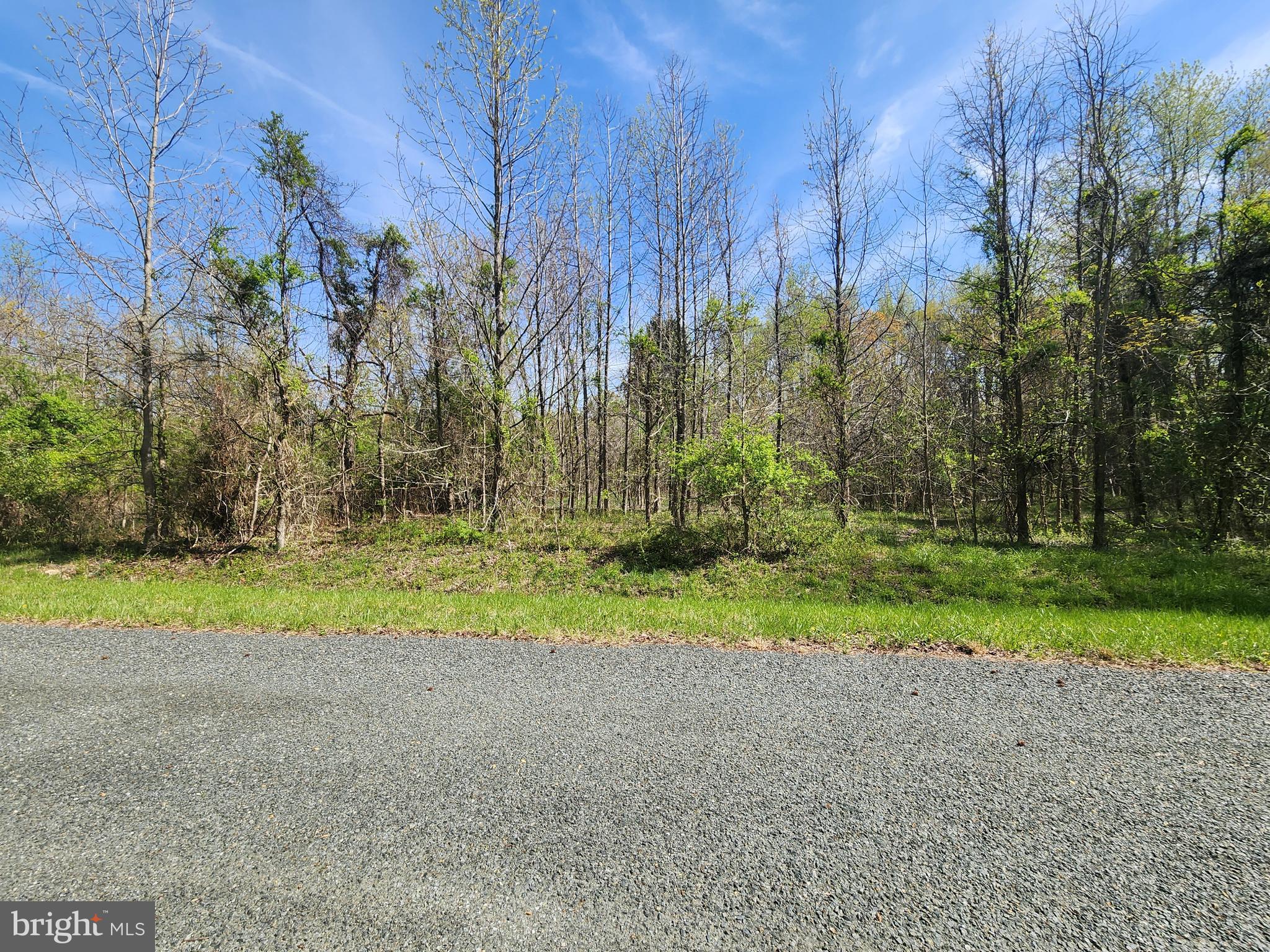 Parcel Buck Neck Road Chestertown, MD 21620 - Photo 4 of 6