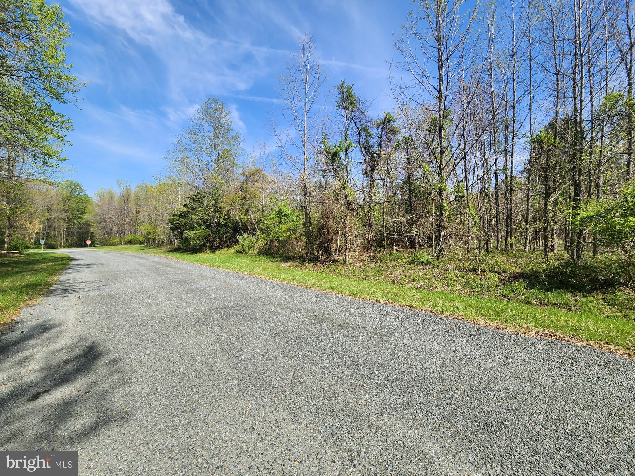 Parcel Buck Neck Road Chestertown, MD 21620 - Photo 5 of 6