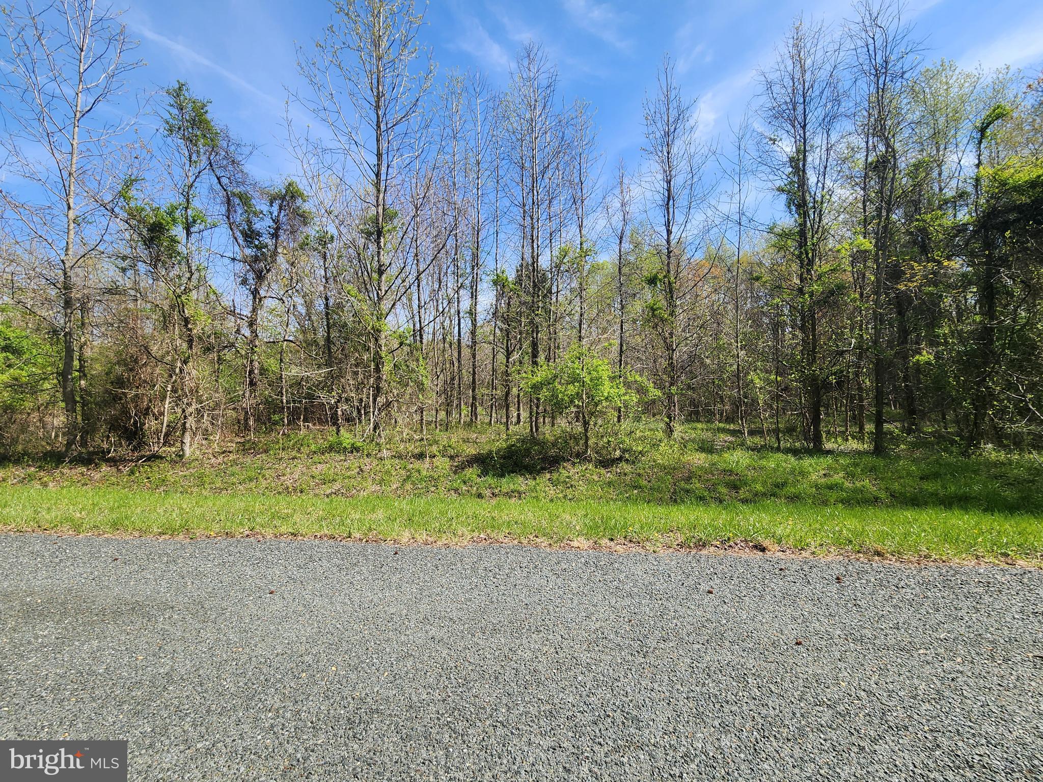 Parcel Buck Neck Road Chestertown, MD 21620 - Photo 6 of 6