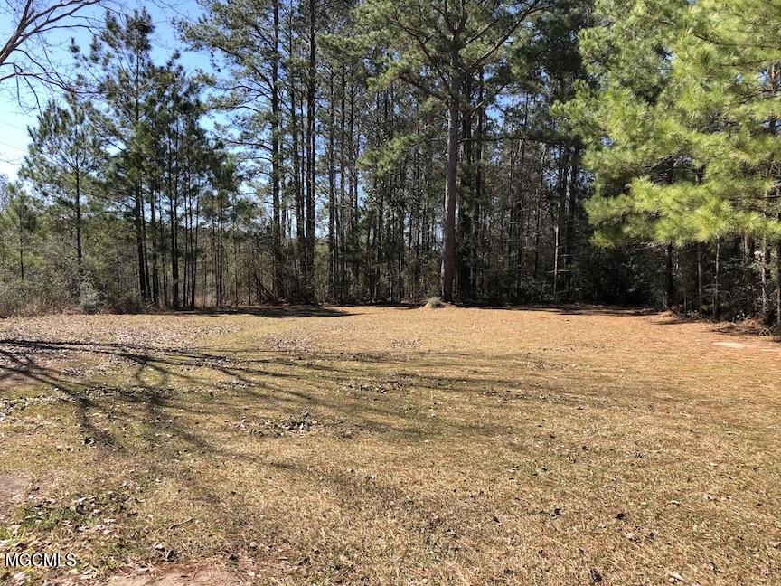1292 New Hope Road Wiggins, MS 39577 - Photo 3 of 14 IMG_0569