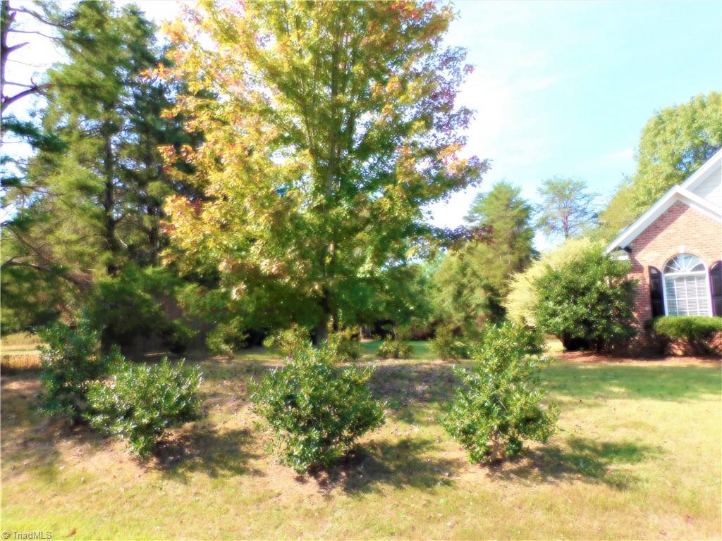 6007 Chalet Drive Oak Ridge, NC 27310 - Photo 27 of 30