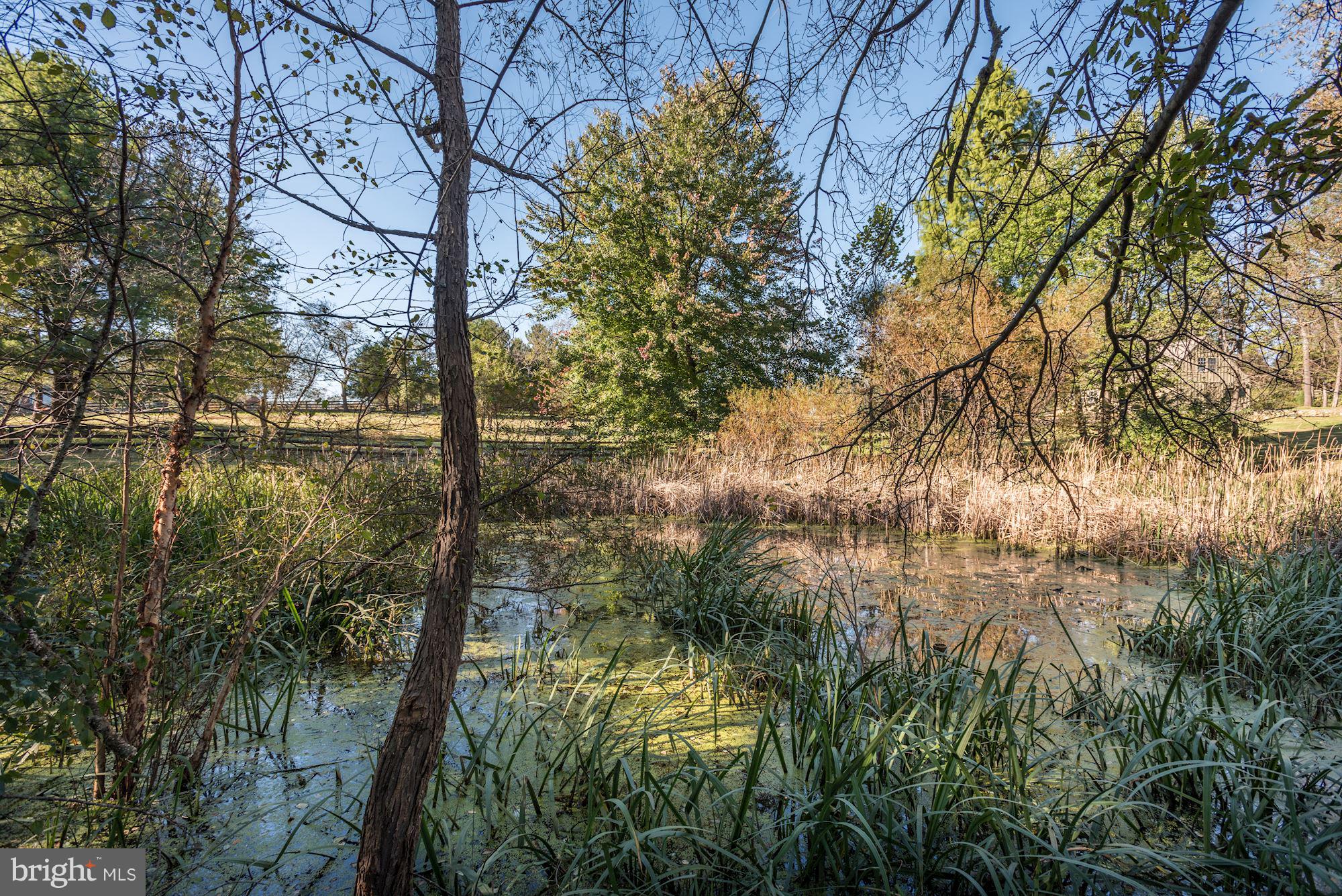18822 Woodburn Road Leesburg, VA 20175 - Photo 26 of 30 Pond View
