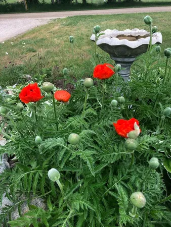 $382,000 | 21652 Ridge Road, Grand Marais, MI 49839