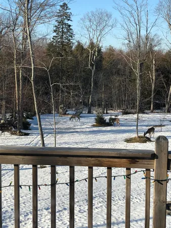 $382,000 | 21652 Ridge Road, Grand Marais, MI 49839