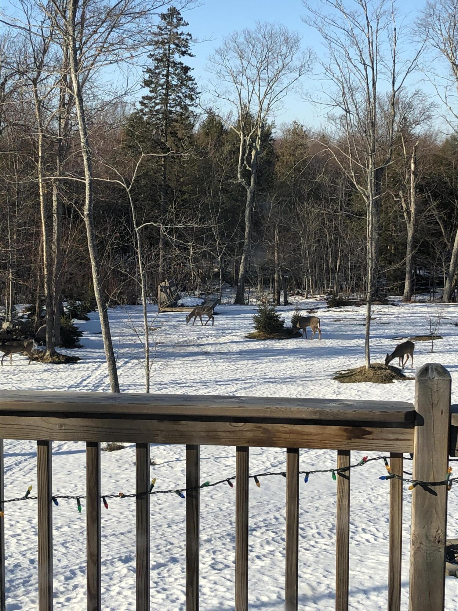 21652 Ridge Road Grand Marais, MI 49839 - Photo 56 of 67 IMG_4927