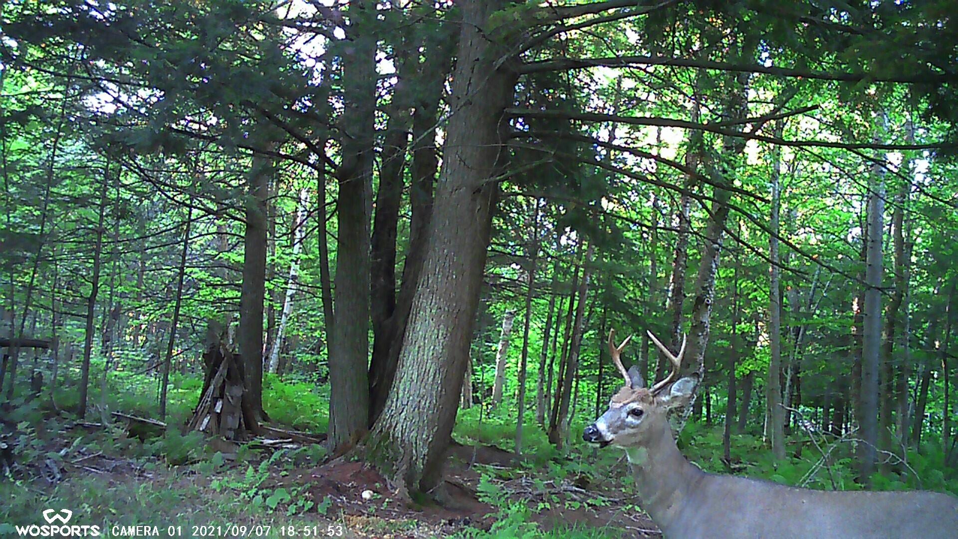 21652 Ridge Road Grand Marais, MI 49839 - Photo 60 of 67 00000161