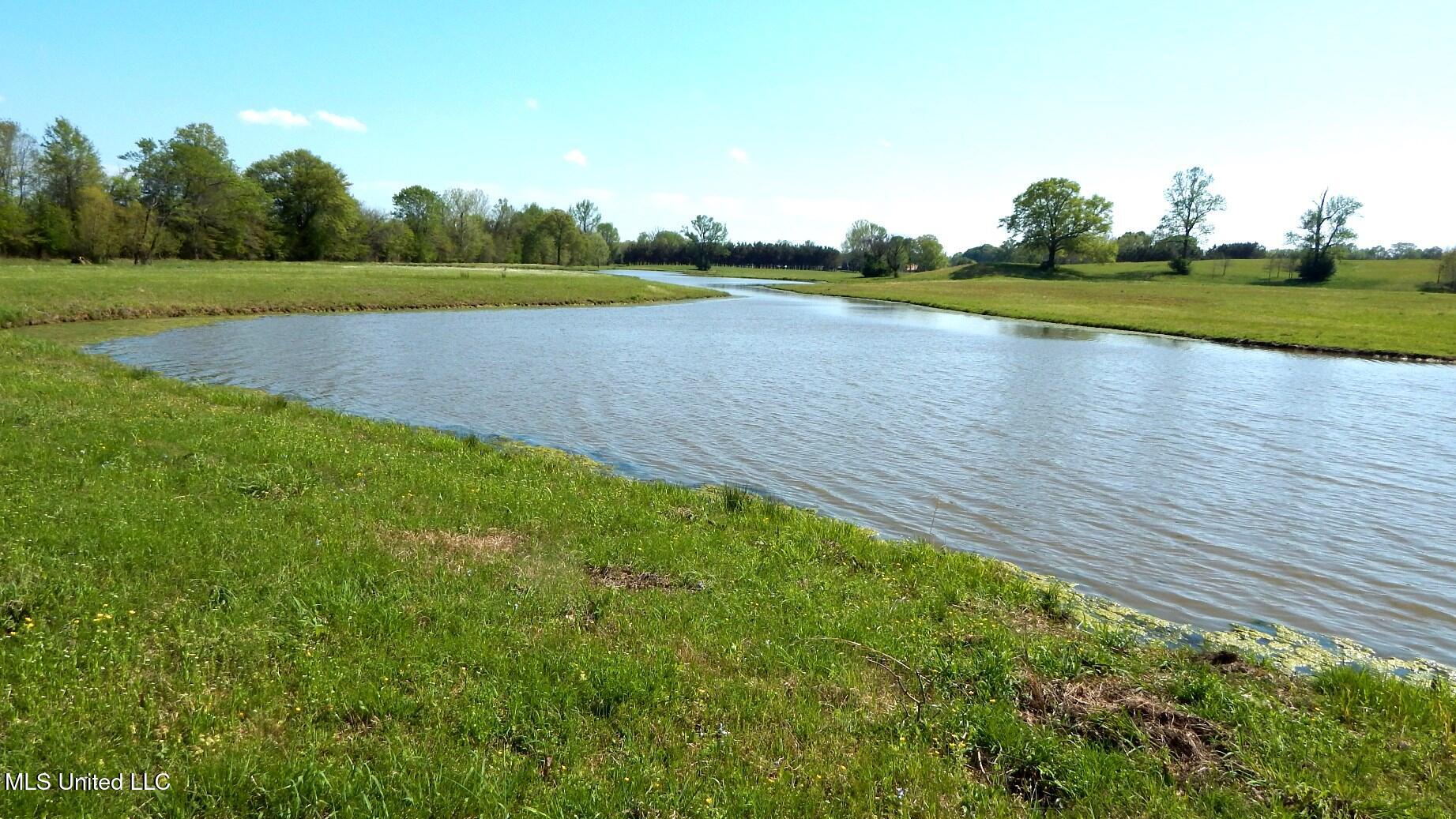 1050 Egypt Creek Road Sarah, MS 38665 - Photo 1 of 23 Pond on the land