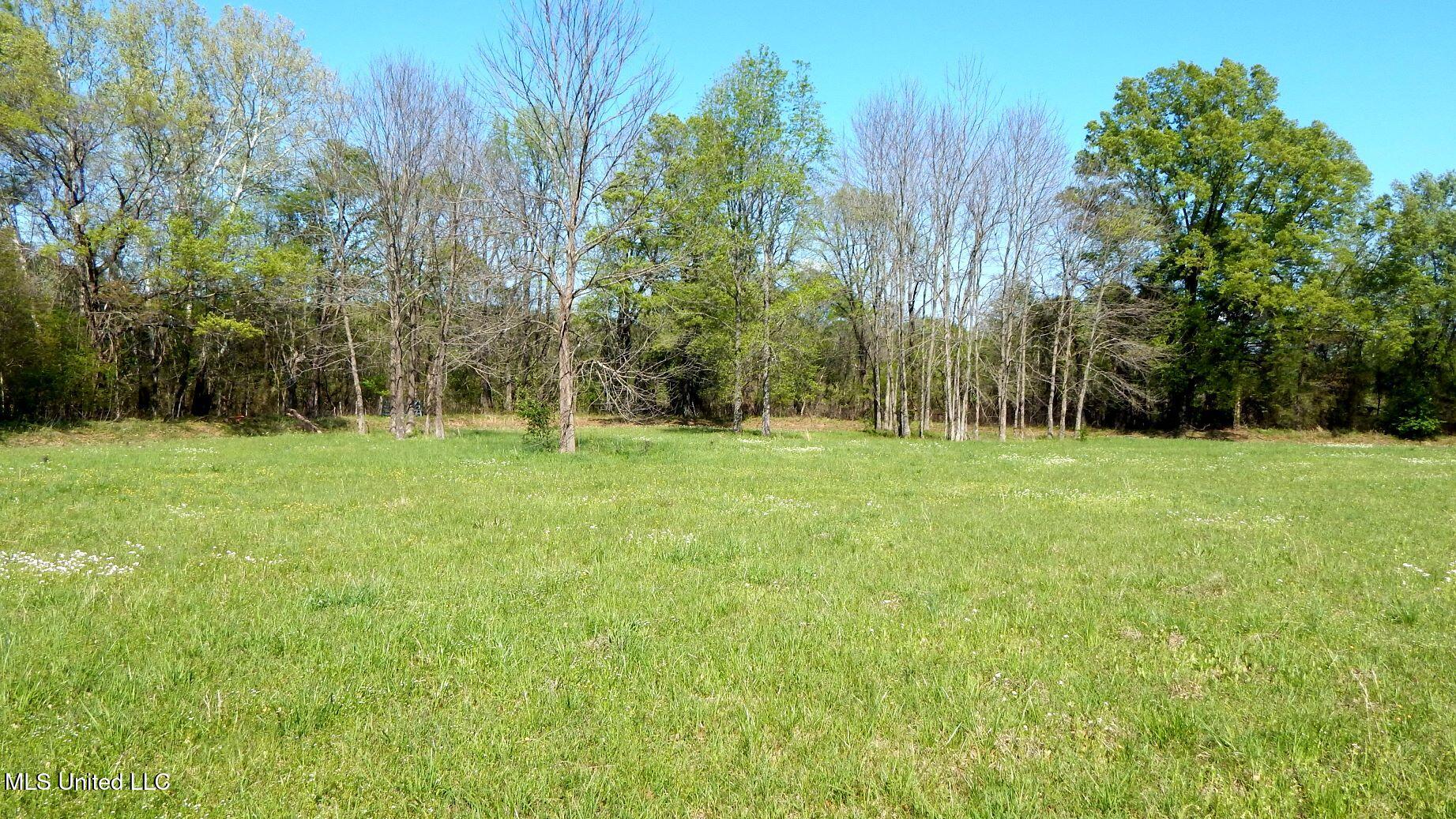 1050 Egypt Creek Road Sarah, MS 38665 - Photo 11 of 23 DSCN6758