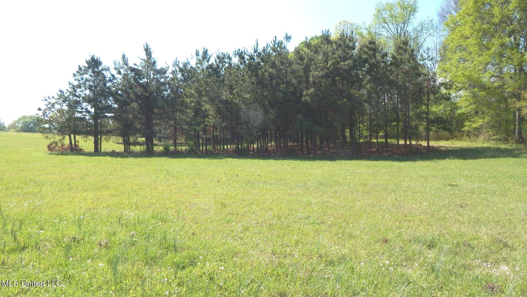 1050 Egypt Creek Road Sarah, MS 38665 - Photo 13 of 23 DSCN6759