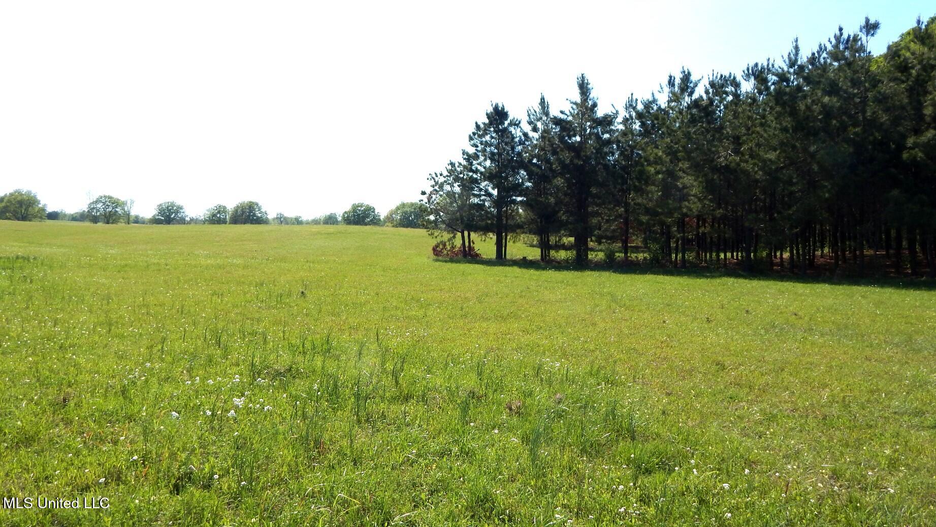 1050 Egypt Creek Road Sarah, MS 38665 - Photo 14 of 23 DSCN6760
