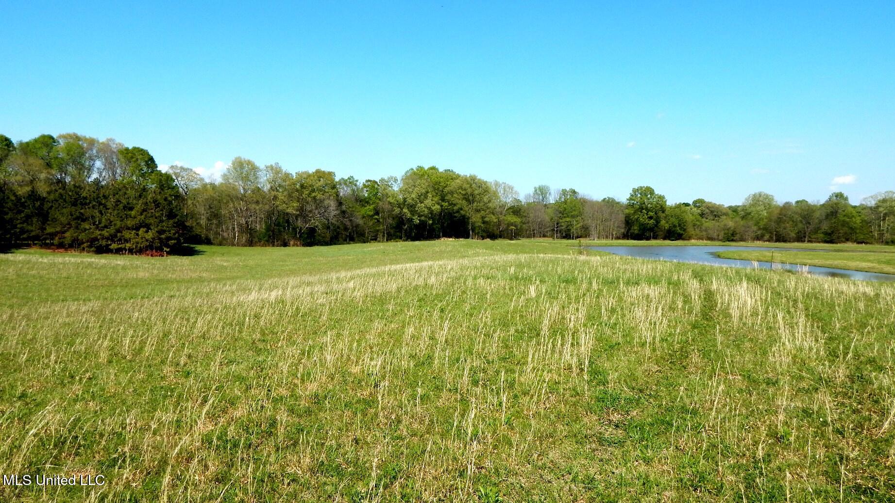 1050 Egypt Creek Road Sarah, MS 38665 - Photo 16 of 23 DSCN6762
