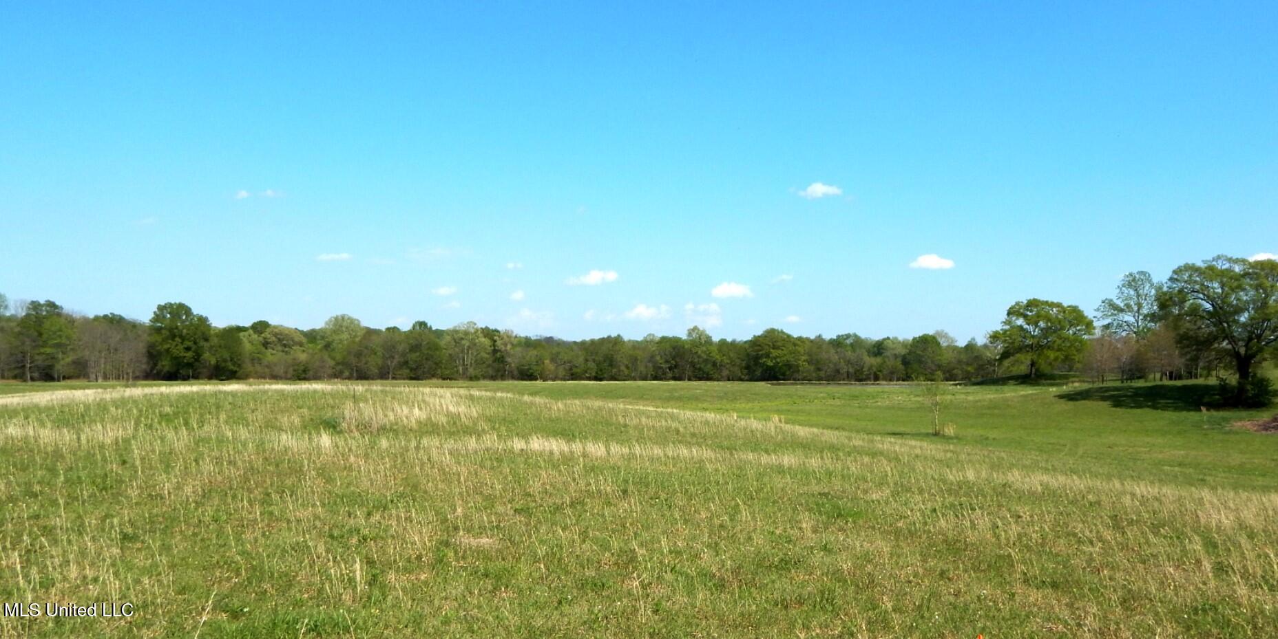 1050 Egypt Creek Road Sarah, MS 38665 - Photo 18 of 23 DSCN6764