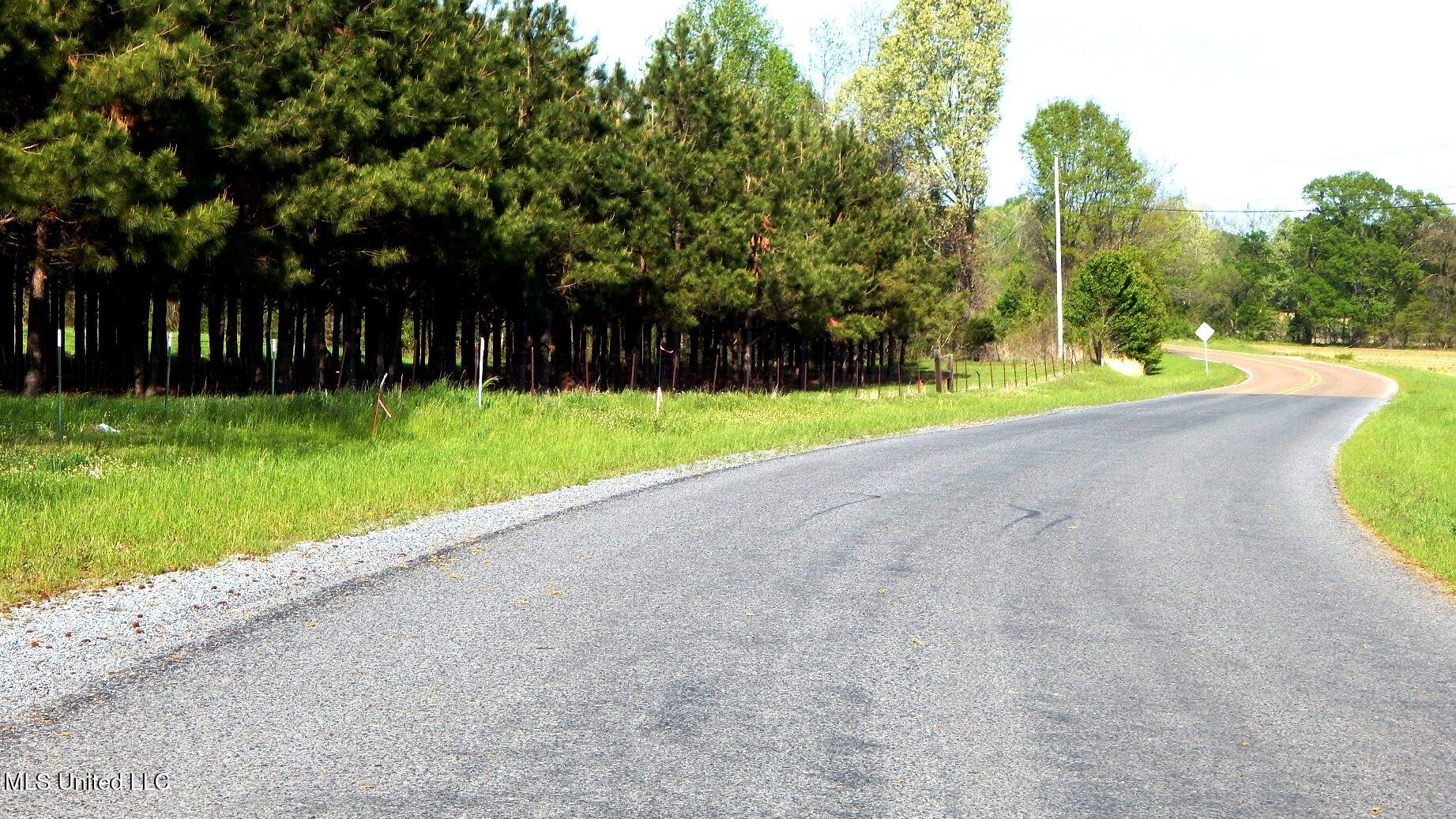 1050 Egypt Creek Road Sarah, MS 38665 - Photo 20 of 23 DSCN6821