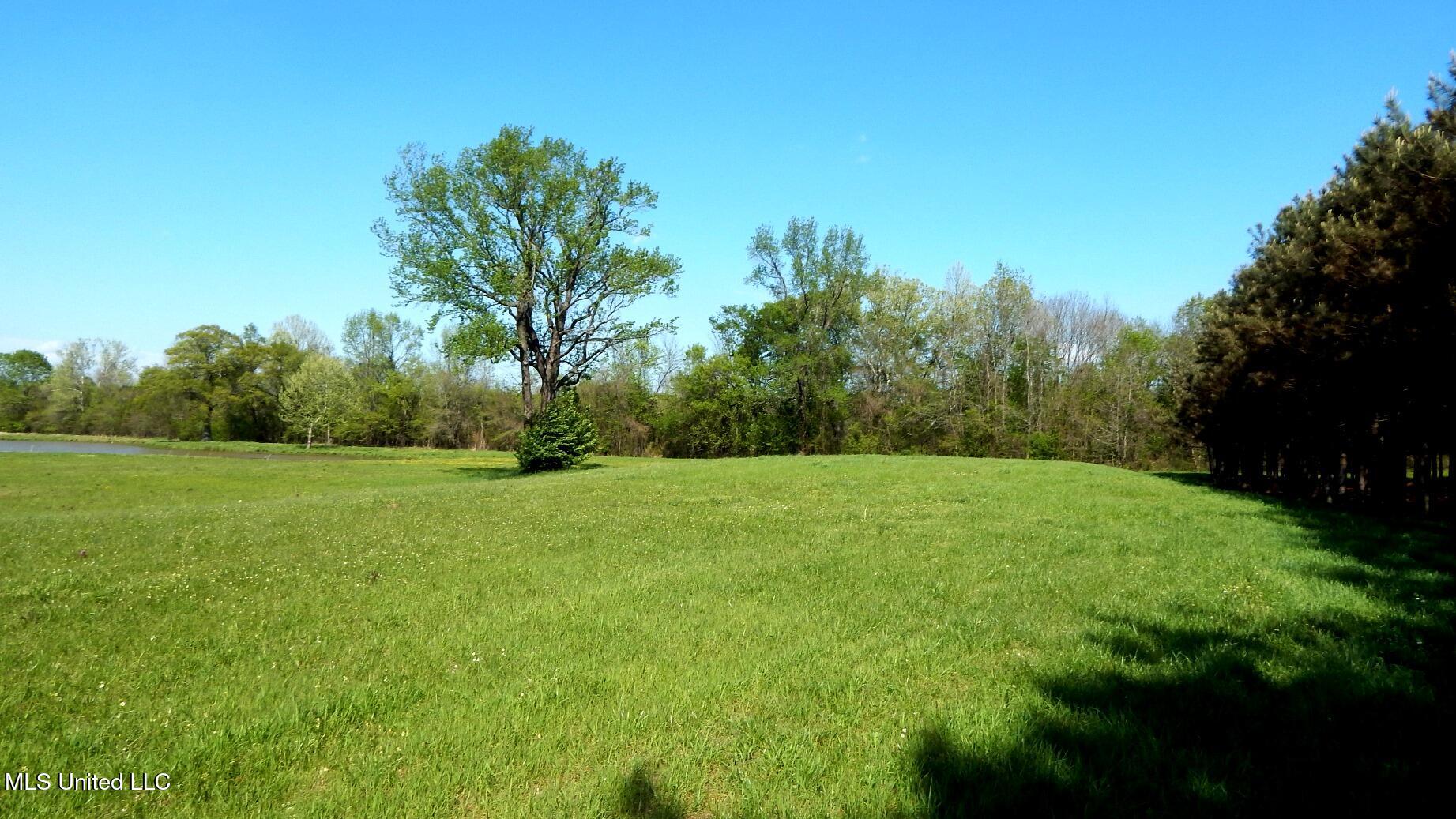 1050 Egypt Creek Road Sarah, MS 38665 - Photo 3 of 23 DSCN6749