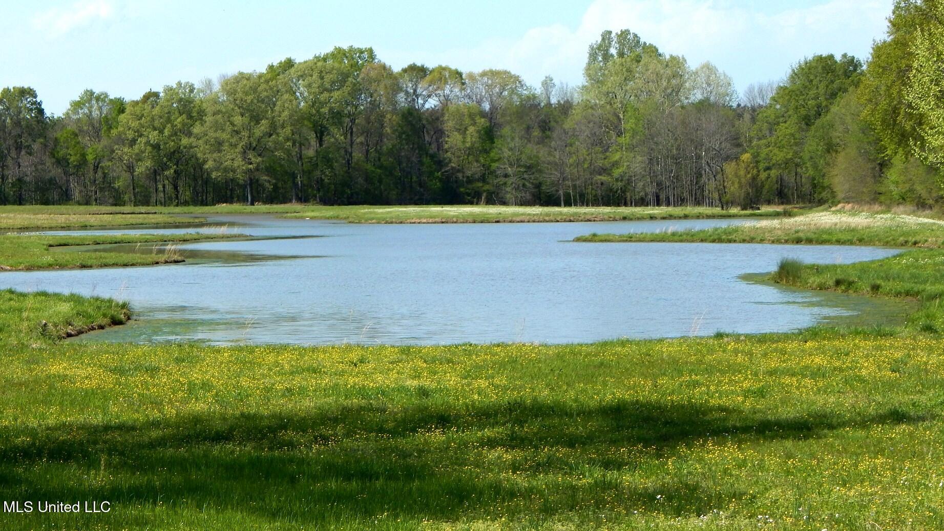 1050 Egypt Creek Road Sarah, MS 38665 - Photo 6 of 23 DSCN6752