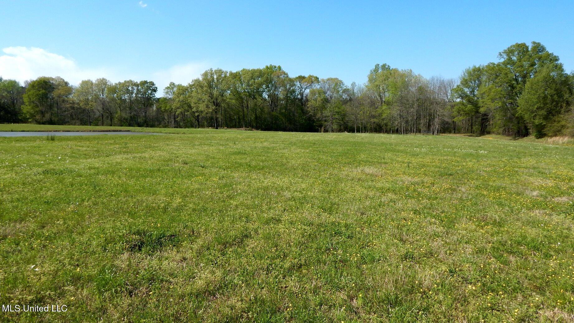 1050 Egypt Creek Road Sarah, MS 38665 - Photo 8 of 23 DSCN6754